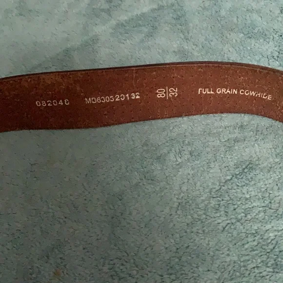 Fossil Belt - Picture 3 of 5